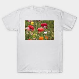 Rainbow of Ranunculus T-Shirt
